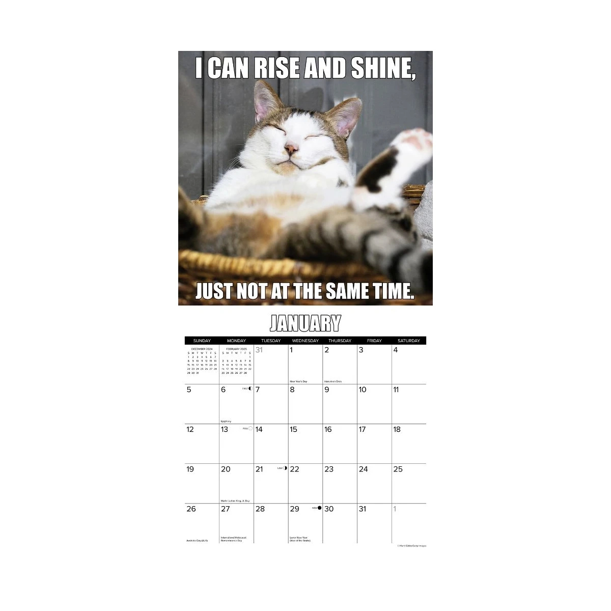 Cat-Astrophe 2025 Wall Calendar | Baxterboo for Cat Astrophe 2025 Calendar Printable