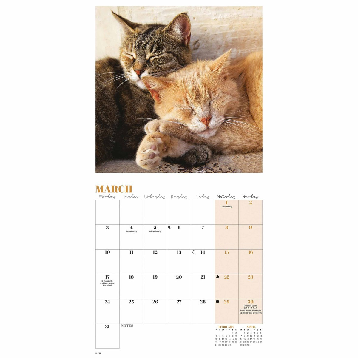 Cat Naps Mini Calendar 2025 pertaining to Naptime Cats 2025 Calendar Printable