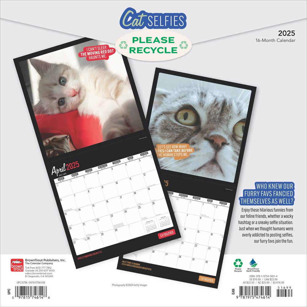 Cat Selfies | 2025 12 X 24 Inch Monthly Square Wall Calendar in Cat Selfies 2025 Calendar Printable