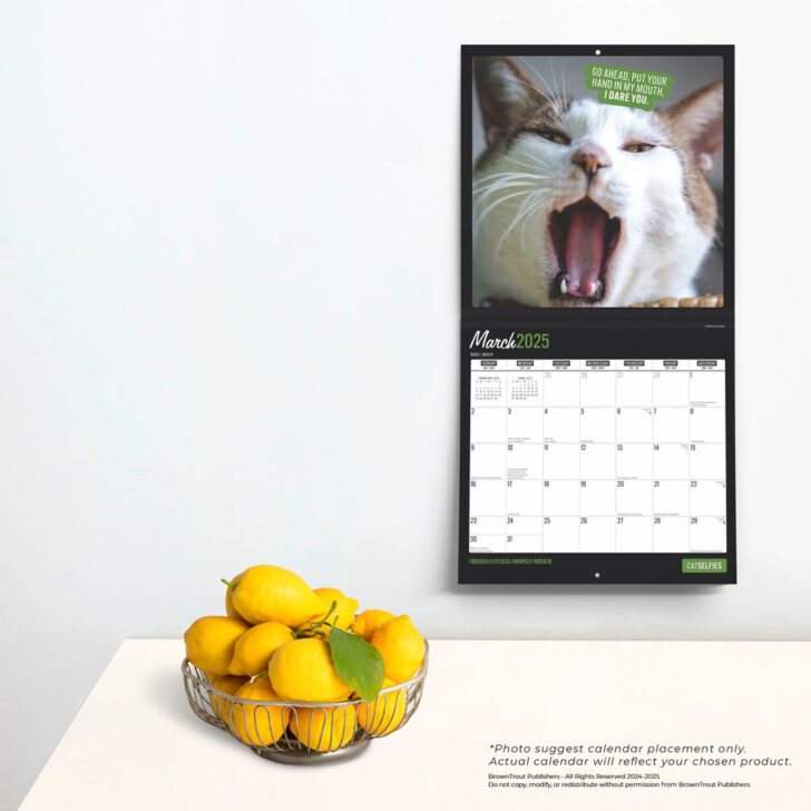 Cat Selfies 2025 Calendar  Printable