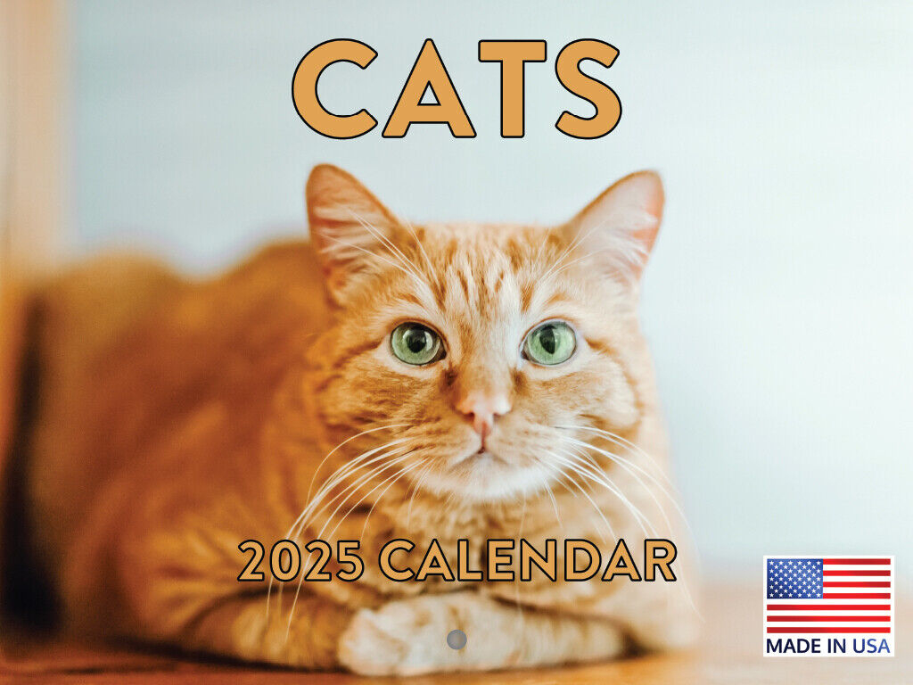 Cat Wall Calendars 2025 for Cat Astrophe 2025 Calendar Printable