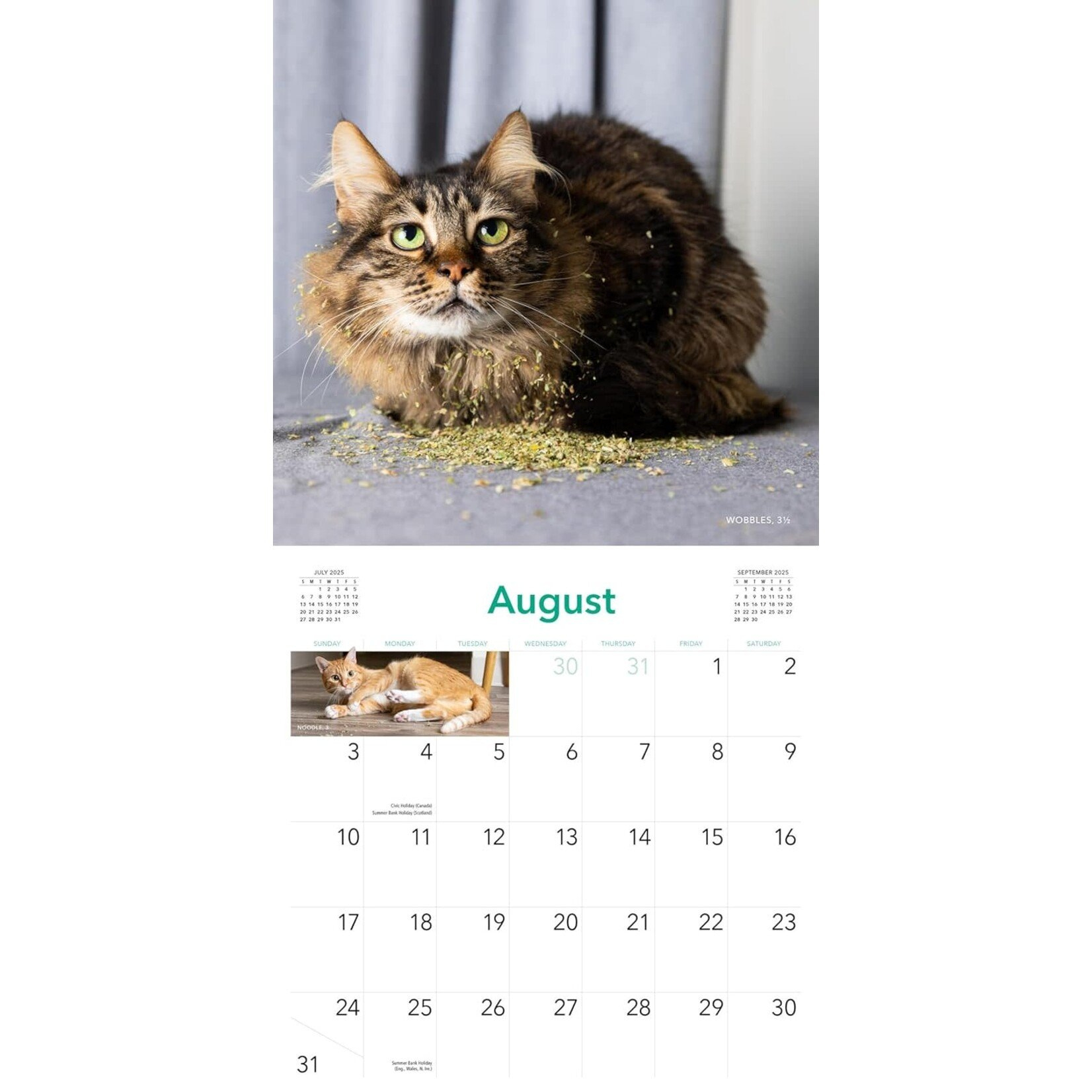 Cats On Catnip Wall Calendar 2025 - Maxima Gift And Book Center with regard to Cats On Catnip 2025 Calendar Printable
