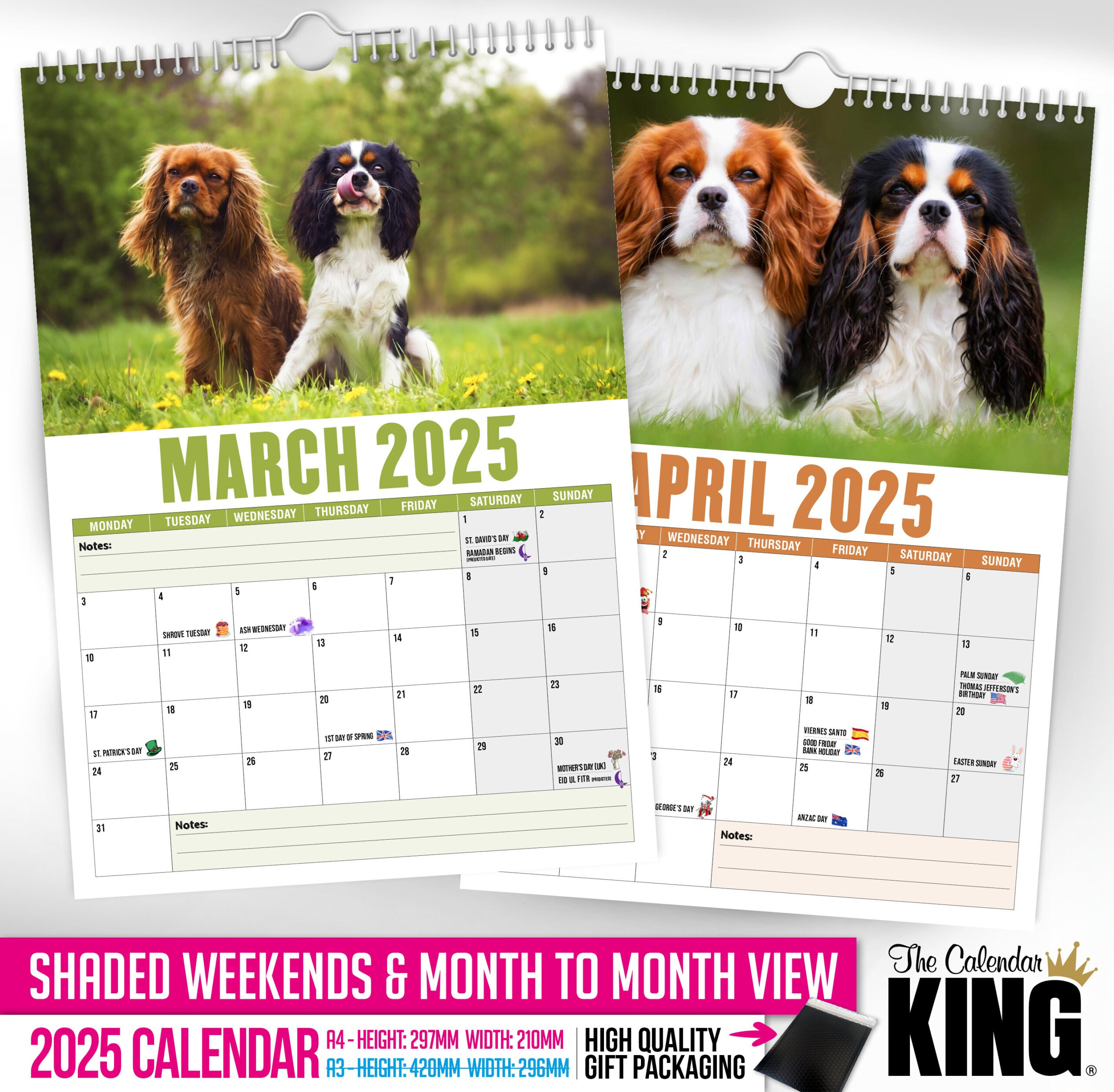 Cavalier King Charles - 2025 Wall Calendar // Pet / Animal pertaining to Just Cavalier King Charles 2025 Calendar Printable