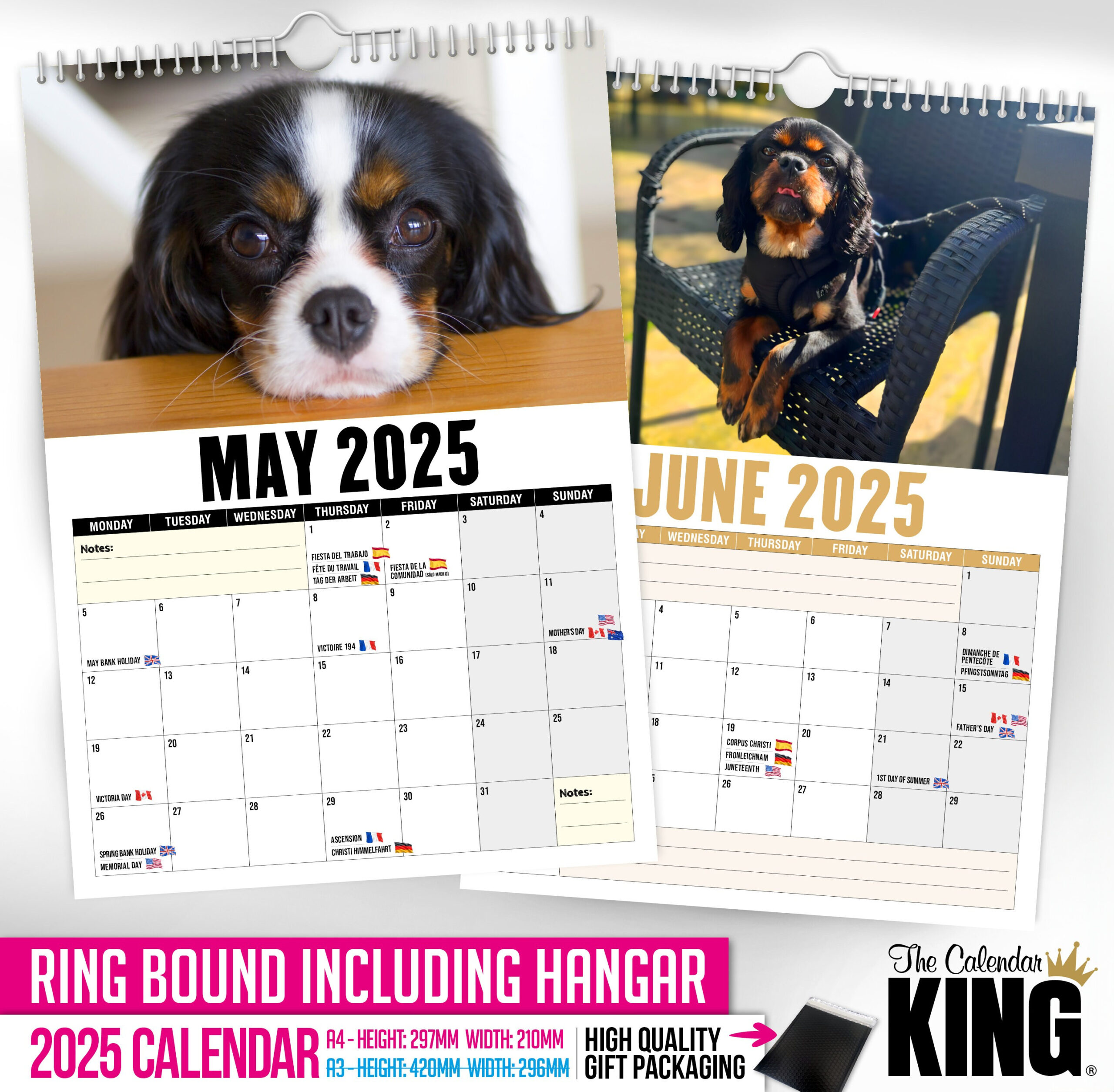 Cavalier King Charles - 2025 Wall Calendar // Pet / Animal within Just Cavalier King Charles Puppies 2025 Calendar Printable