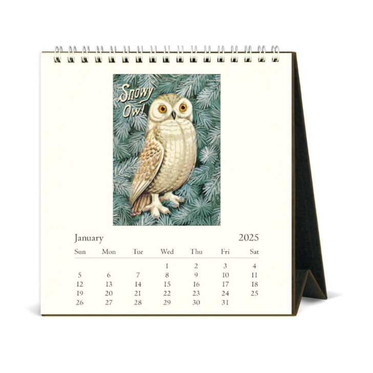 Owls 2025 Calendar  Printable