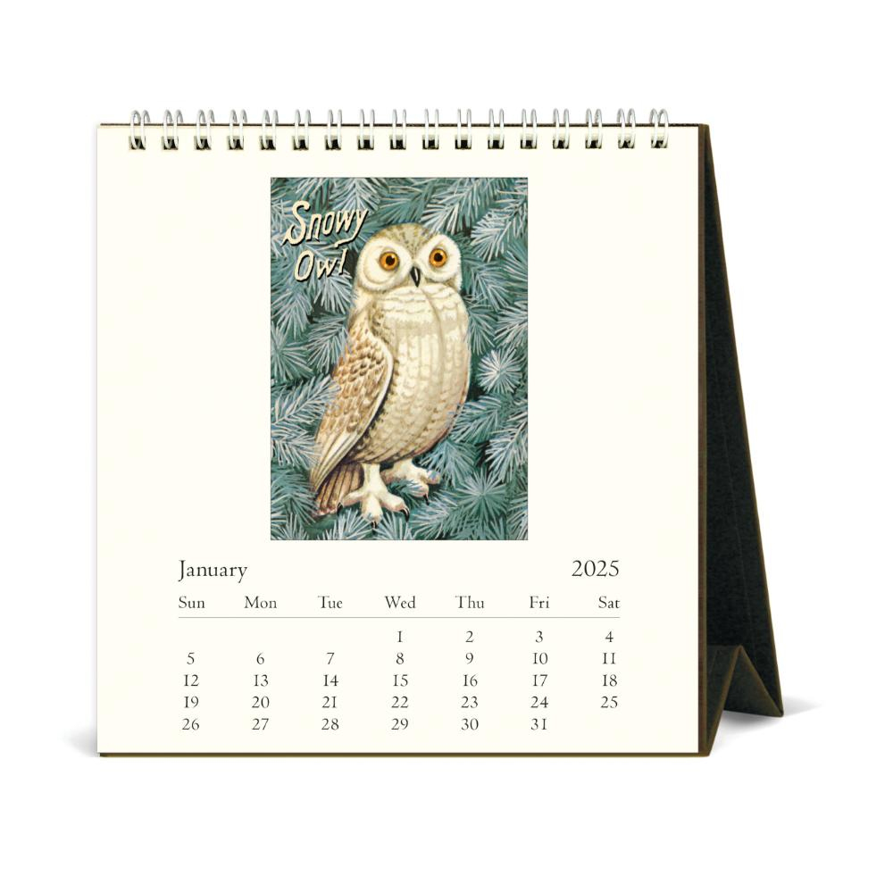 Cavallini 2025 Desk Calendar - Vintage Owls | Evans And Hall regarding Owls 2025 Calendar Printable