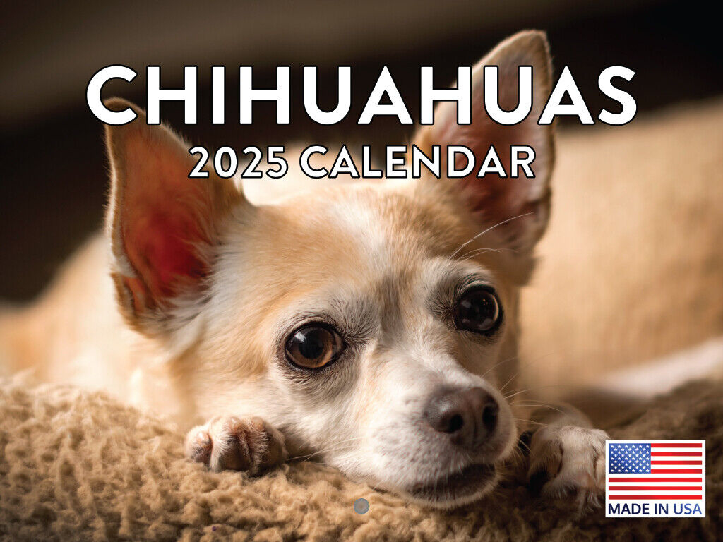 Chihuahua Calendar 2025 Chihuahua Gifts Monthly Wall Calender 12 throughout Chihuahua Rules 2025 Calendar Printable