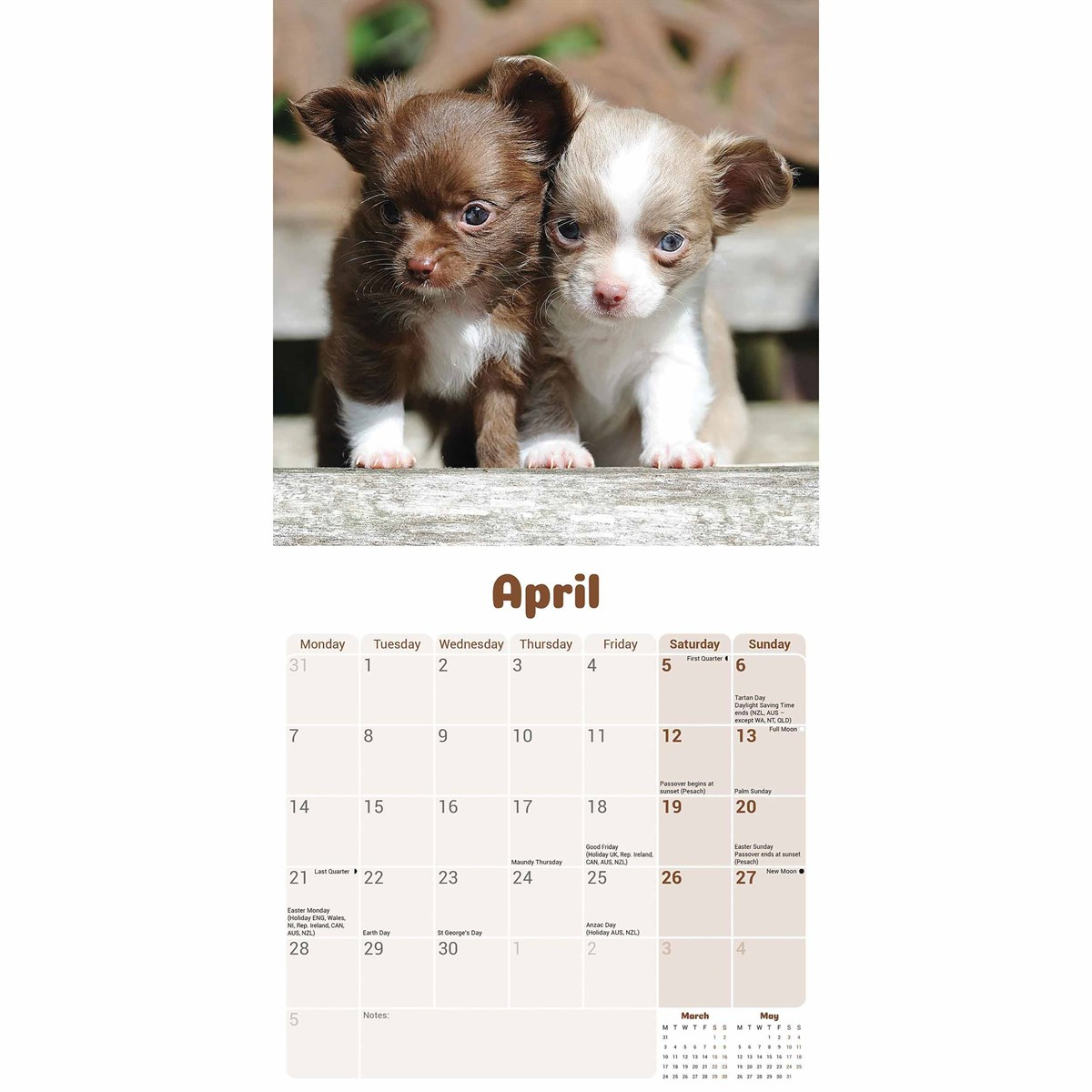 Chihuahua Puppies Mini Calendar 2025 in Just Chihuahua Puppies 2025 Calendar Printable