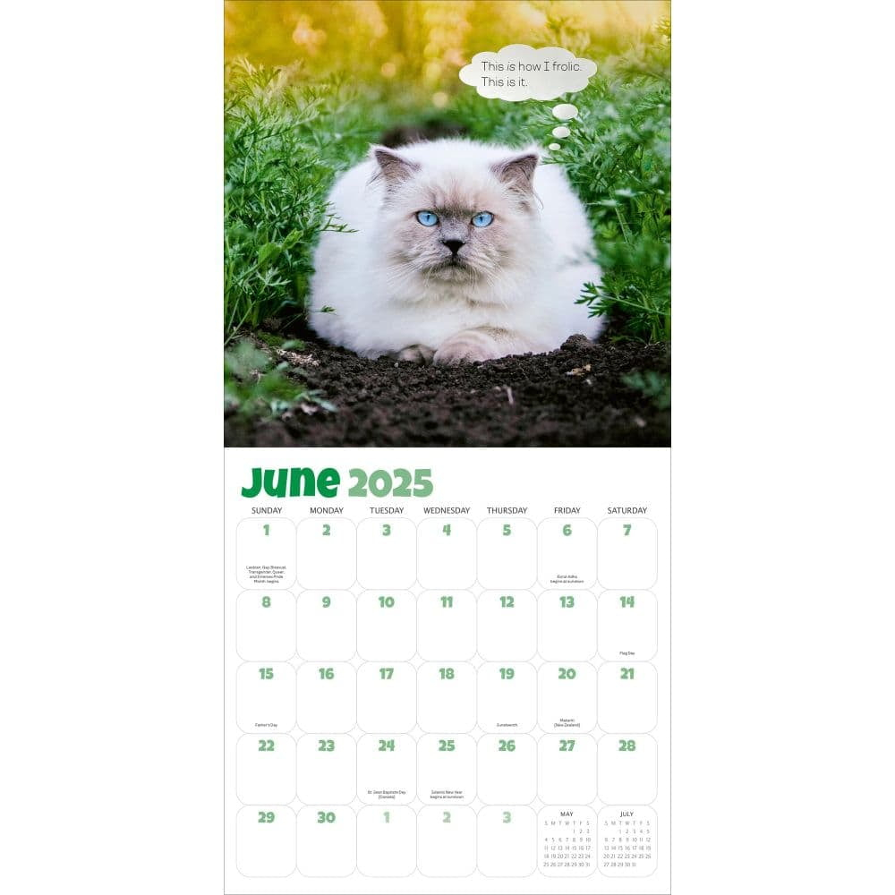 Chonkers Wall Calendar 2025 : A Year Of Cats Large And In Charge (Calendar) with Chonkers 2025 Calendar Printable
