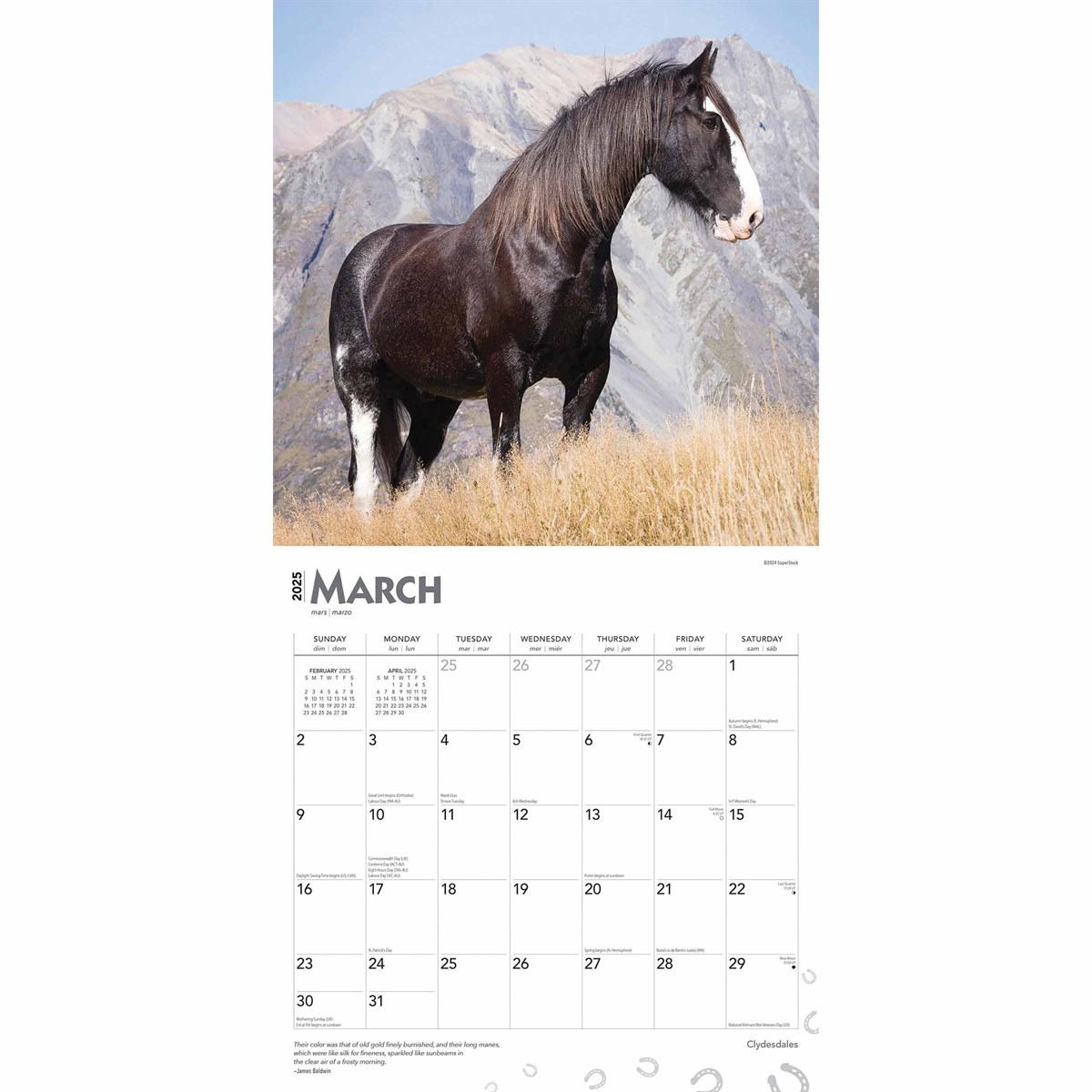 Clydesdales Calendar 2025 pertaining to Clydesdales Horses 2025 Calendar Printable