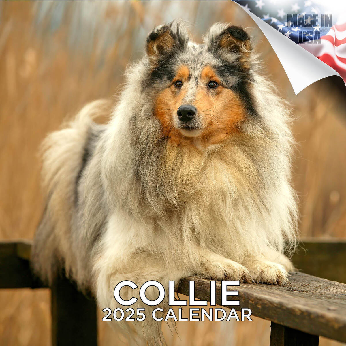 Collie Dog Breed Calendar 2025 Full Size 12X24 Made In Usa | Ebay pertaining to Just Sheltie Puppies 2025 Calendar Printable