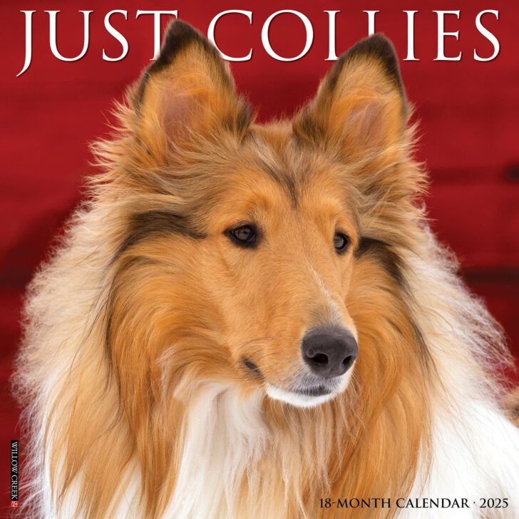 Just Sheltie Puppies 2025 Calendar Printable