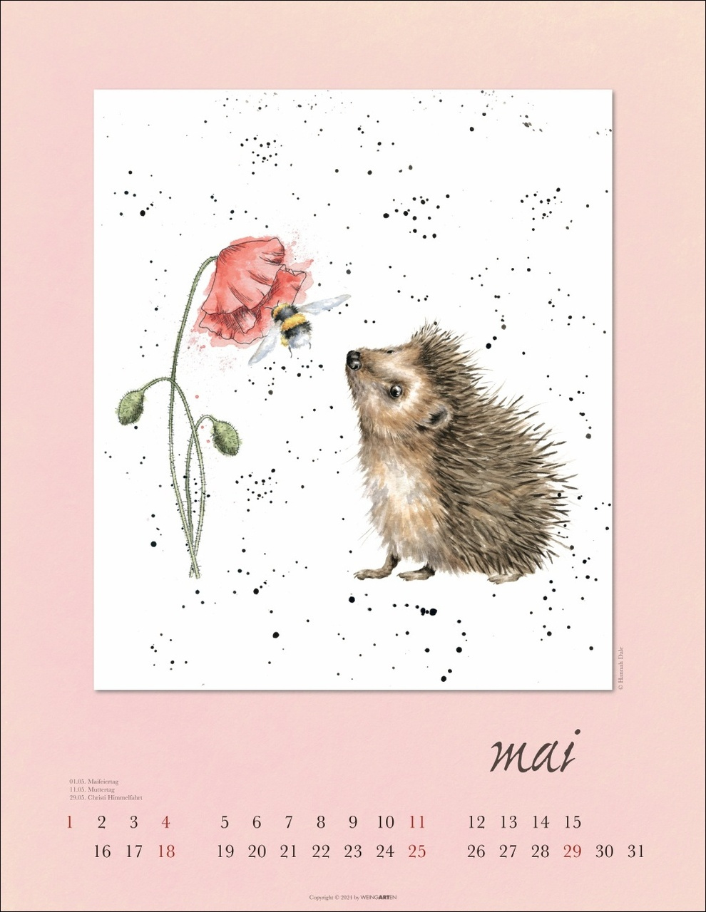 Country Life Kalender 2025 Von Hannah Dale (Spiralbindung) within Country Wildlife 2025 Calendar Printable