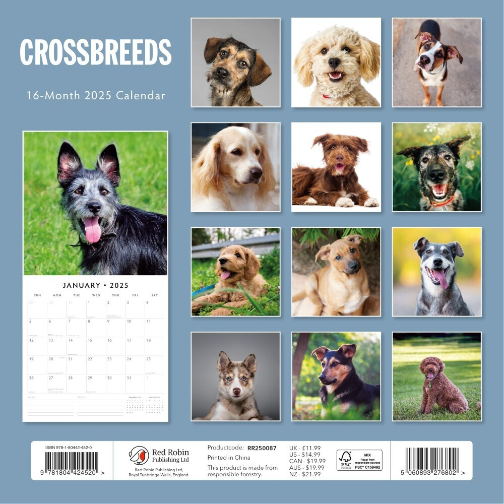 Crossbreeds - 2025 Square Wall Calendar Animals 16 Months Premium inside Crossbreeds 2025 Calendar Printable