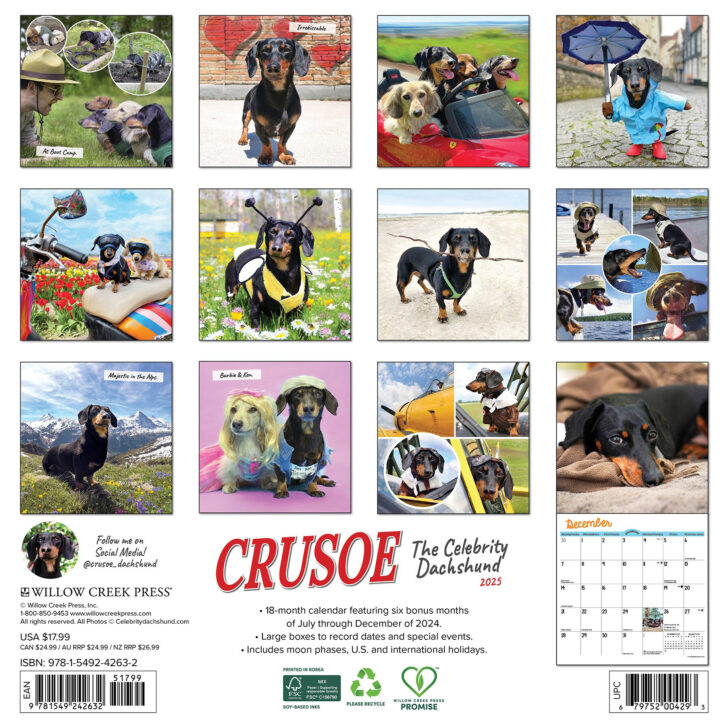 Bitchin Cross Stitchin 2025 Calendar Printable