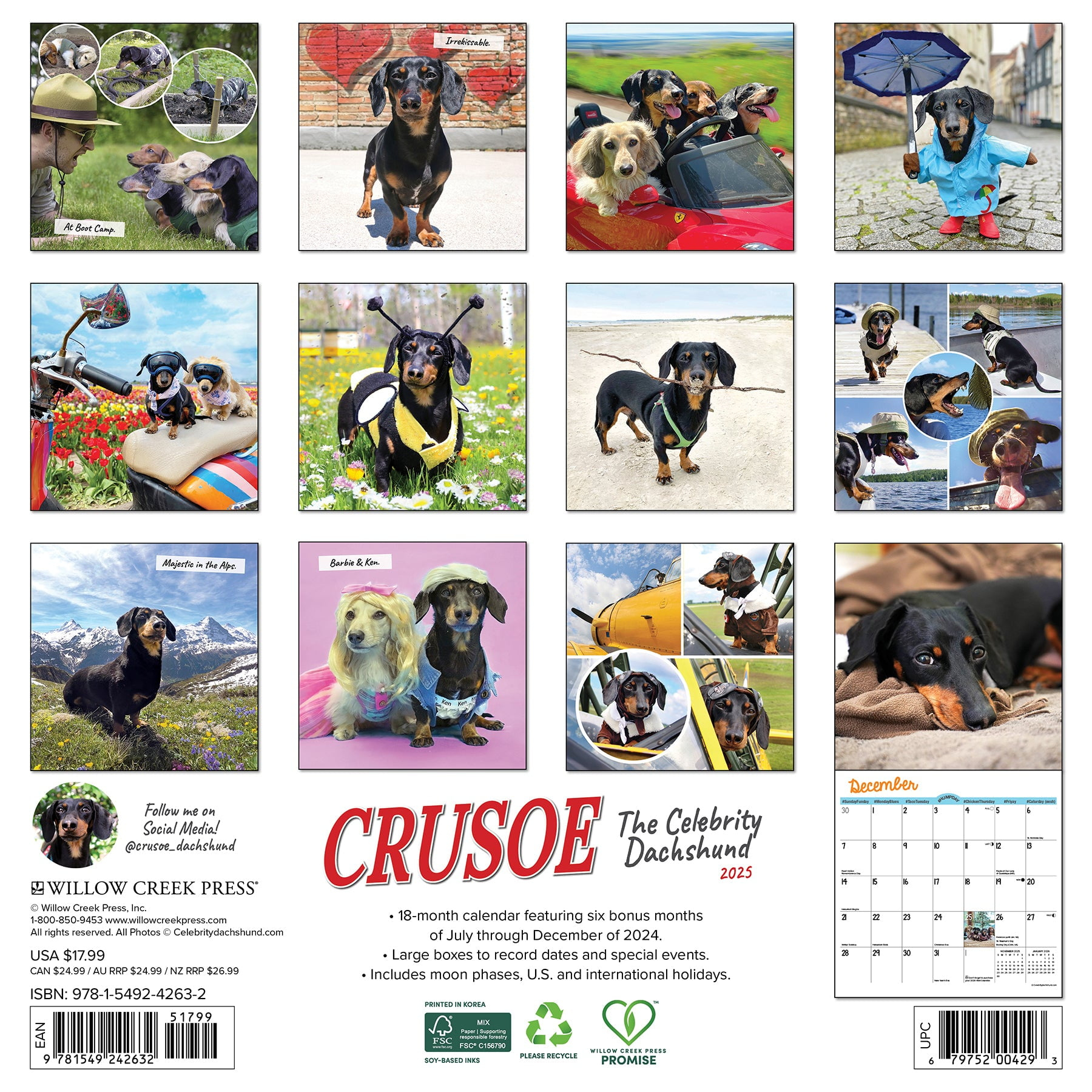 Crusoe The Celebrity Dachshund 2025 Wall Calendar - Walmart pertaining to Dachshund Rules 2025 Calendar Printable