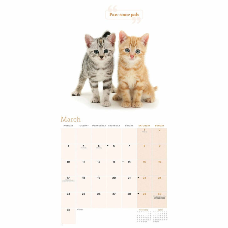 Literary Kitties 2025 Calendar Printable