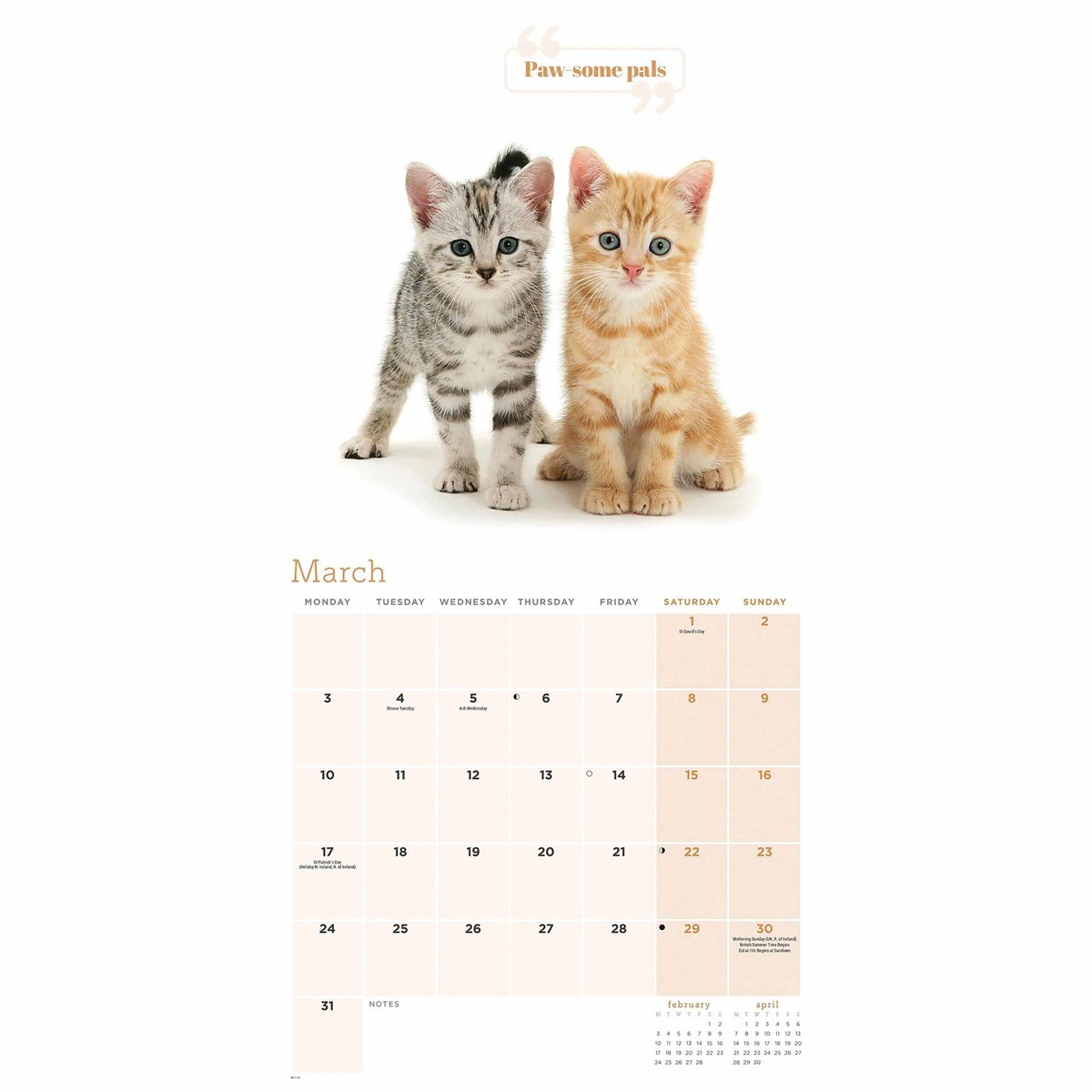 Cute Cats Calendar 2025 with regard to Kittens 365 Days 2025 Calendar Printable