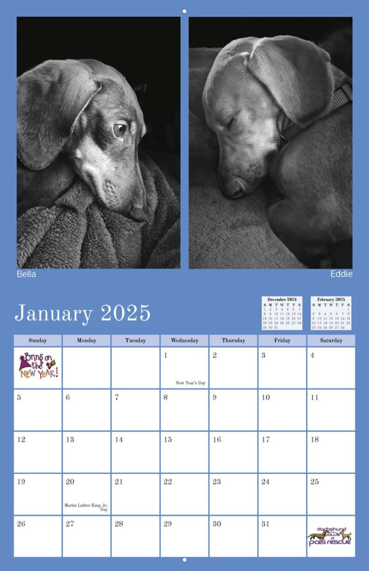 Pet Pals 2025 Calendar Printable