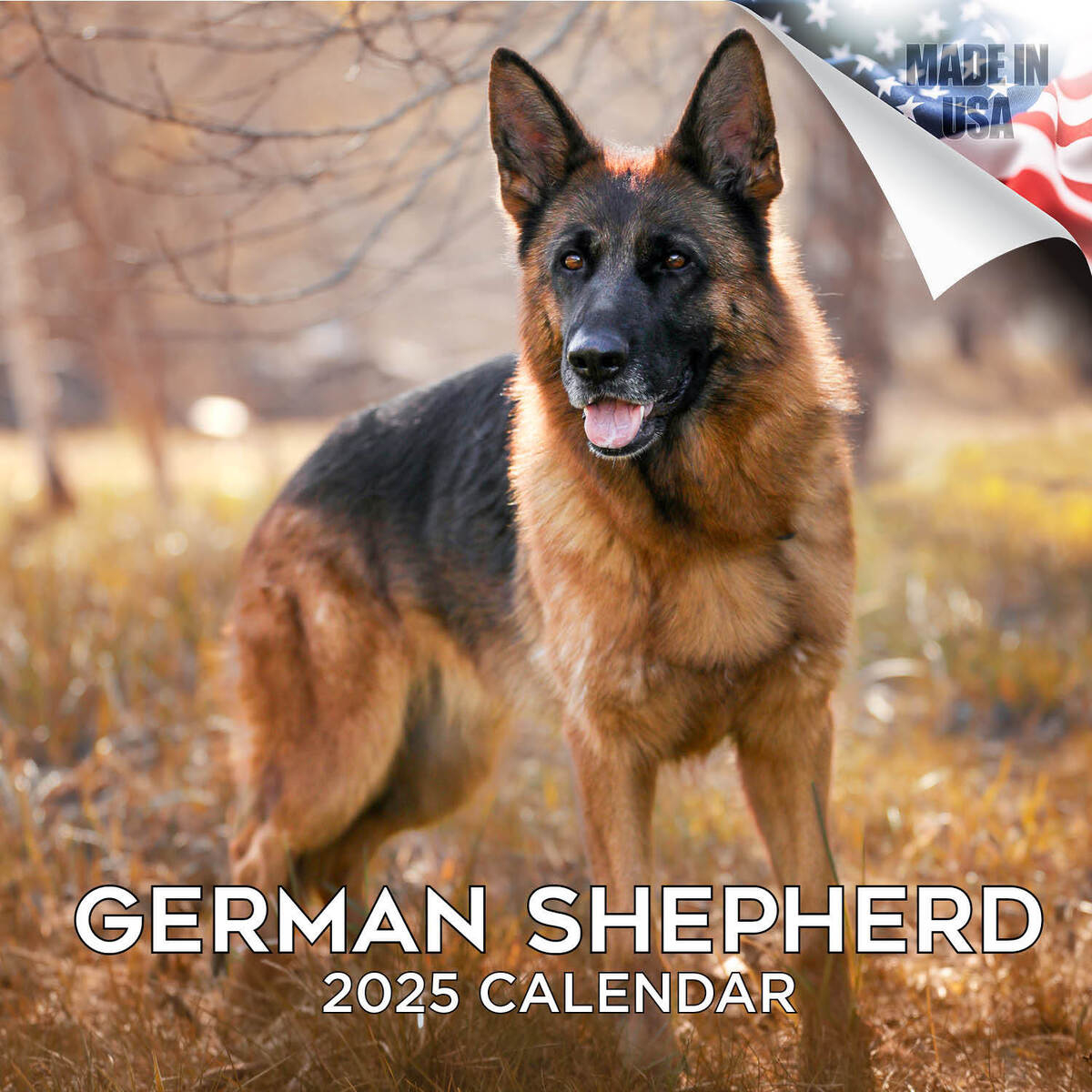 Deutscher Schäferhund Rasse Kalender 2025 Volle Grösse within Just German Shepherds 2025 Calendar Printable
