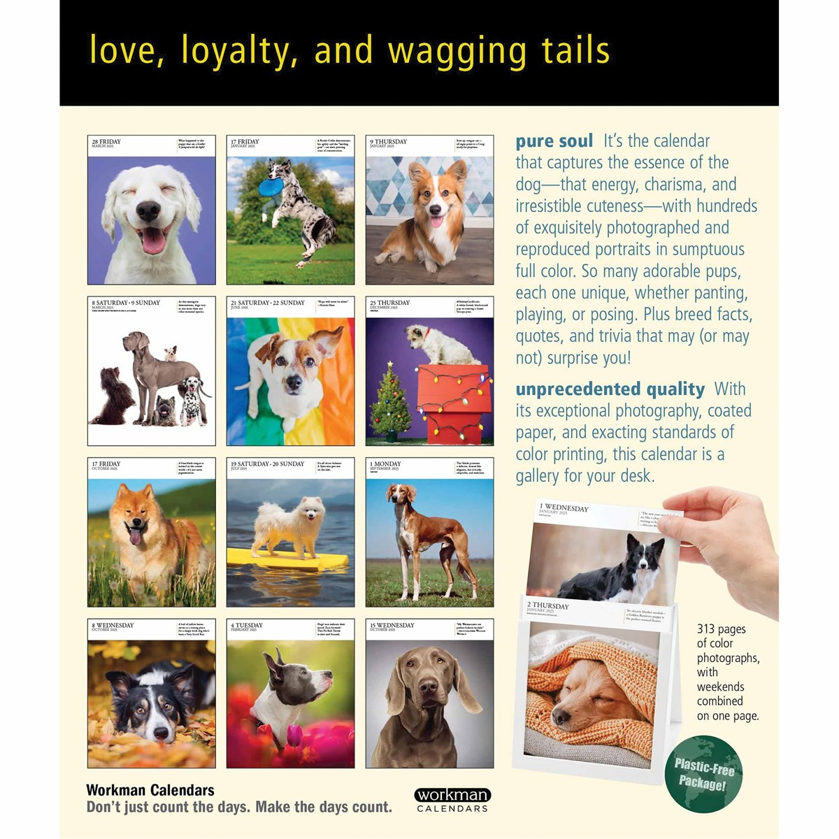 Dog Gallery Desk Calendar 2025 within Dogs 365 2025 Calendar Printable