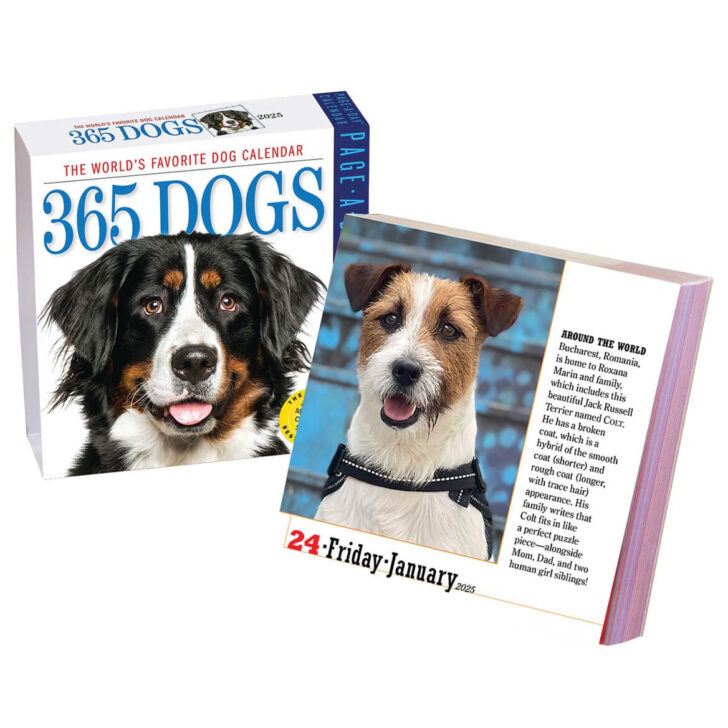 Puppies 365 Days 2025 Calendar  Printable