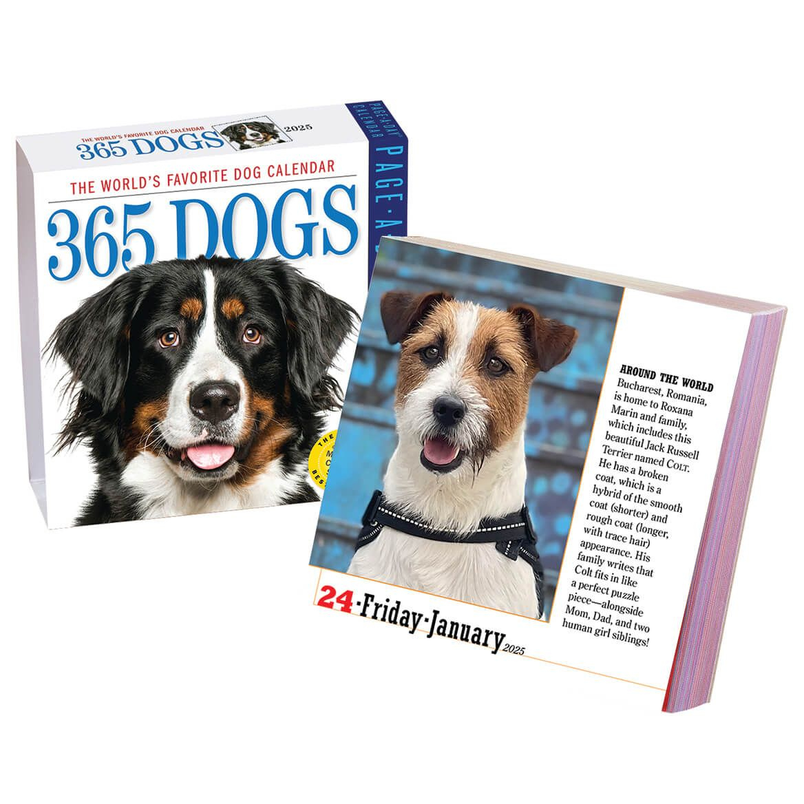 Dog Or Cat Page A Day Calendar pertaining to Puppies 365 Days 2025 Calendar Printable