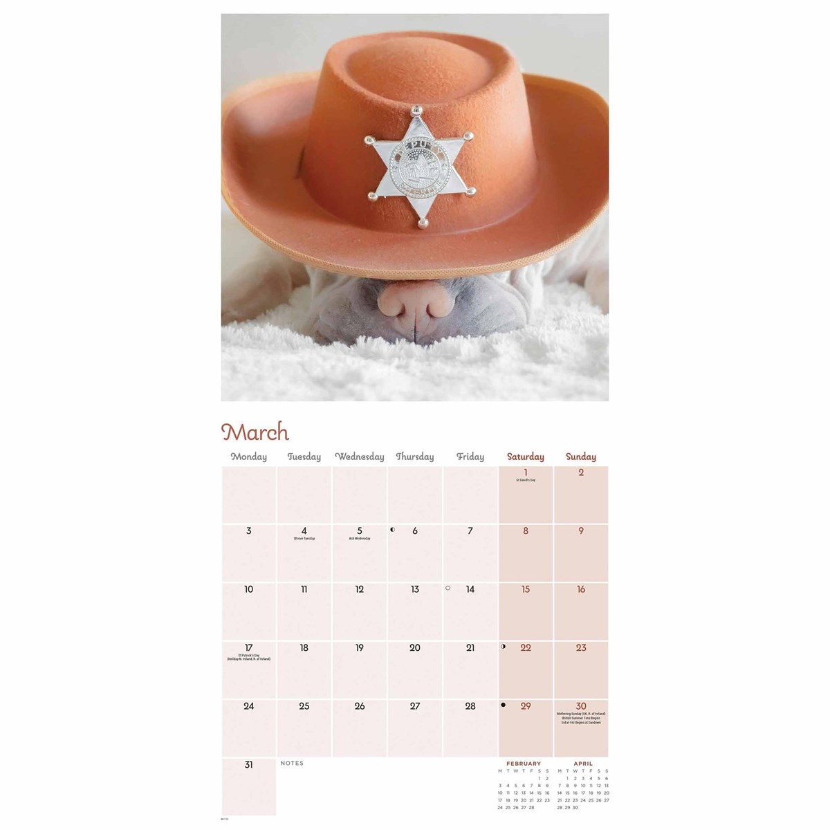 Dogs In Disguise Calendar 2025 with regard to Dogs In Disguise 2025 Calendar Printable