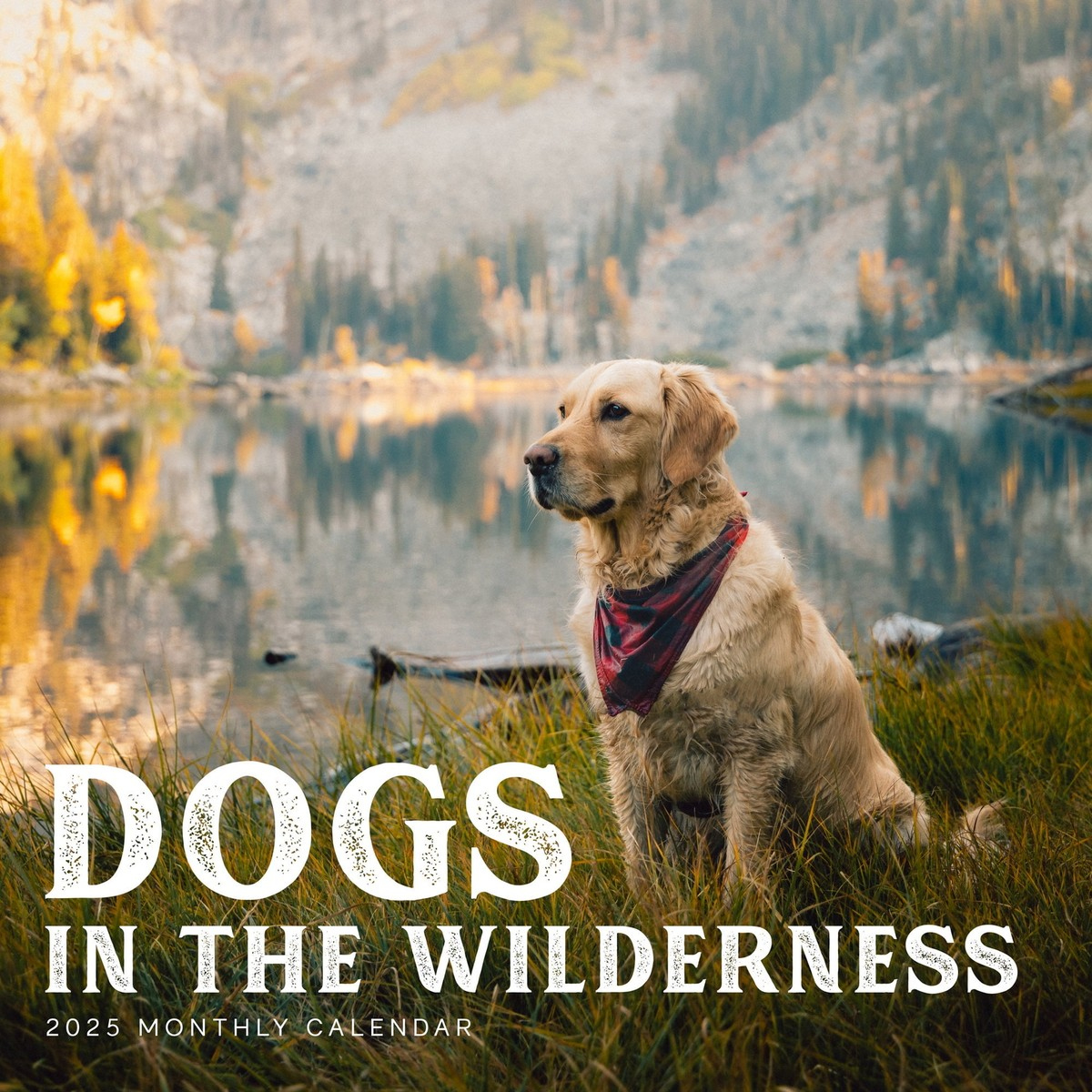Dogs In The Wilderness - 2025 Calendar - Brand New - 401625 | Ebay for Dogs In The Wilderness 2025 Calendar Printable