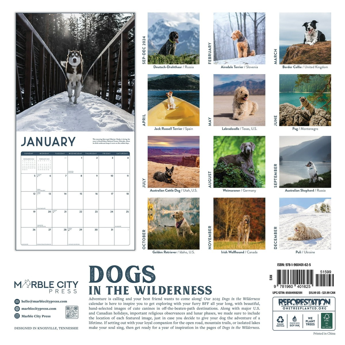 Dogs In The Wilderness - 2025 Calendar - Brand New - 401625 | Ebay regarding Dogs in the Wilderness 2025 Calendar Printable