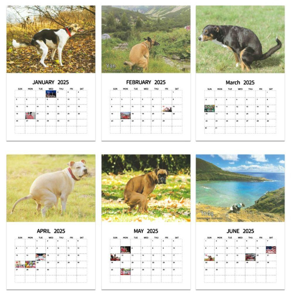 Dogs Pooping Dogs Pooping Calendar Daily Weekly Monthly Planner with Dogs 365 2025 Calendar Printable