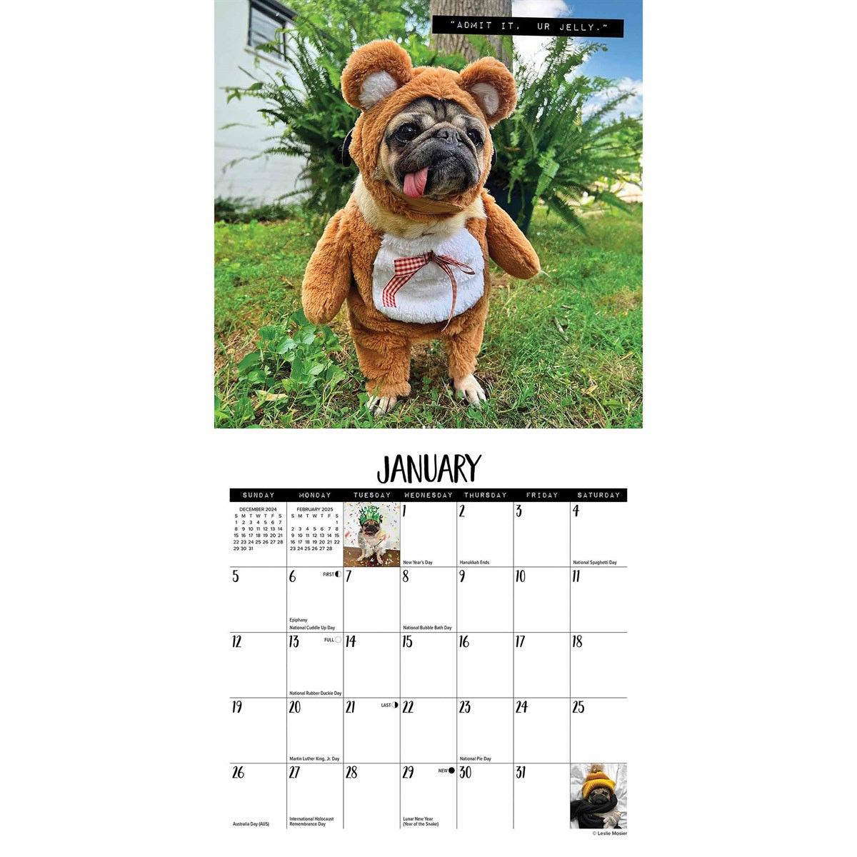 Doug The Pug Mini Calendar 2025 with regard to Pug Mugs 2025 Calendar Printable