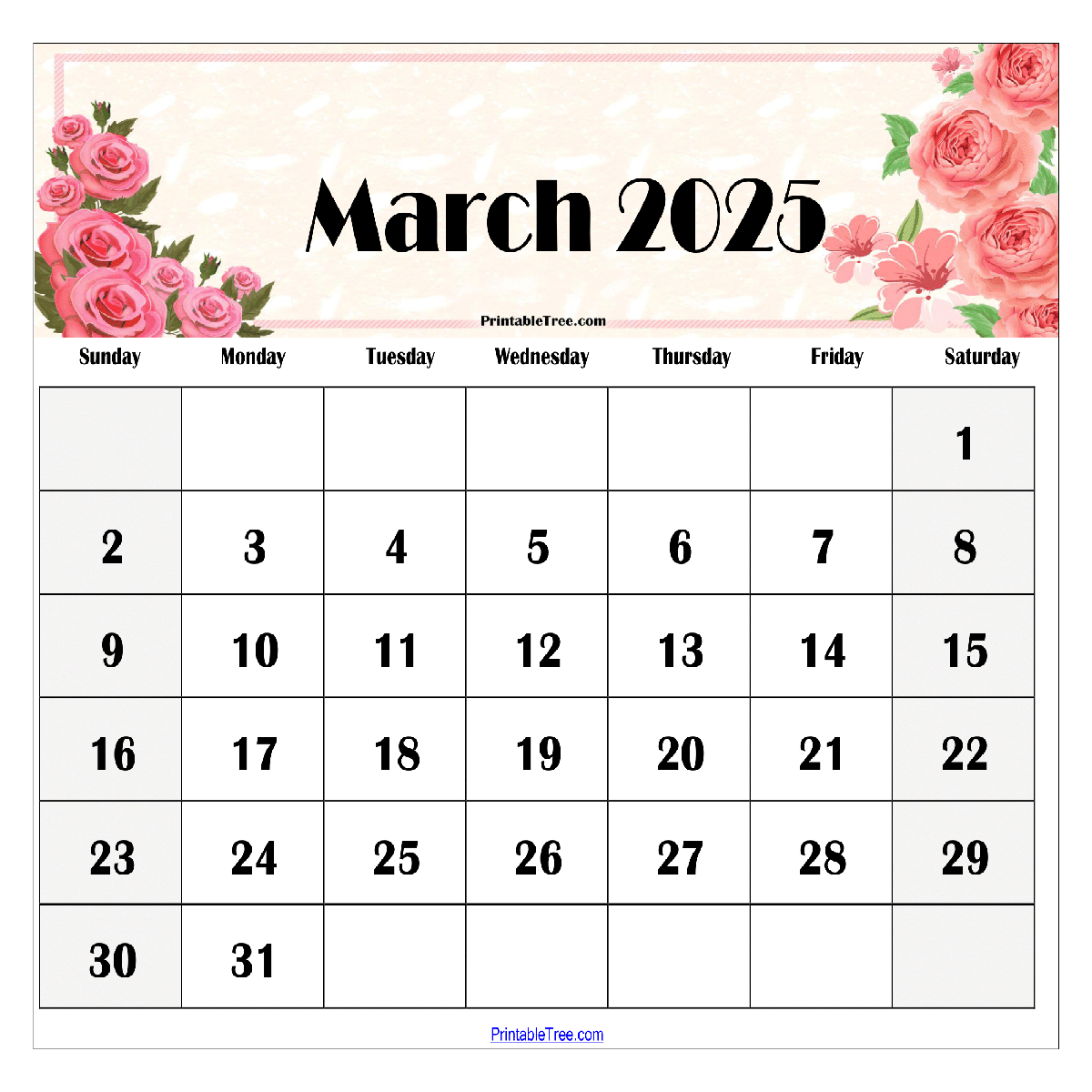 Download Free Monthly 2025 Calendar Printable Pdf With Holidays for Trees 2025 Calendar Printable