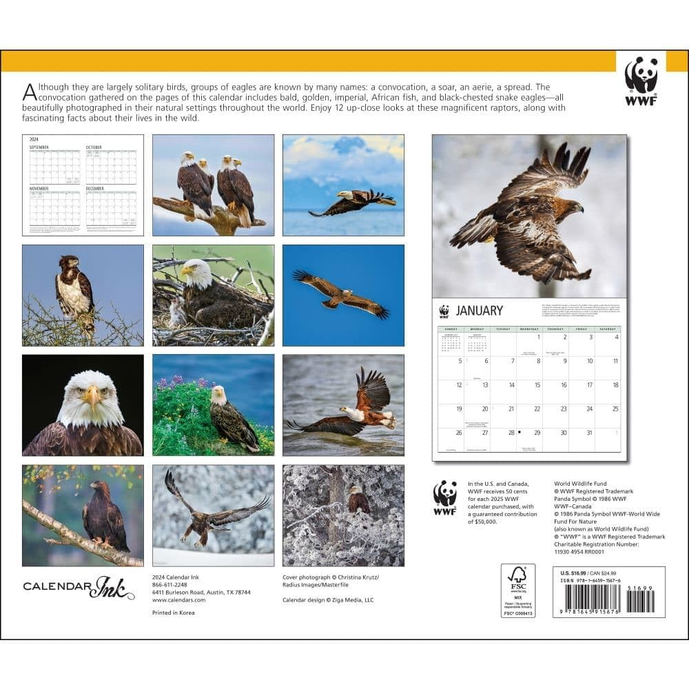 Eagles Wwf 2025 Wall Calendar | Ebay intended for Eagles Wwf 2025 Calendar Printable