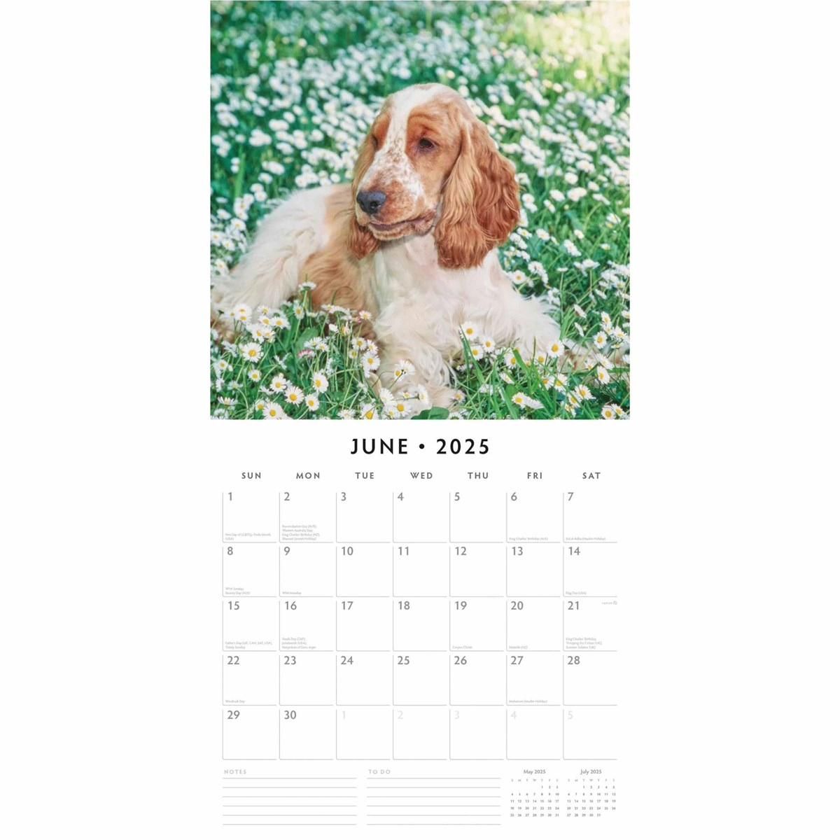 English Cocker Spaniels Calendar 2025 in Just Cocker Spaniels 2025 Calendar Printable