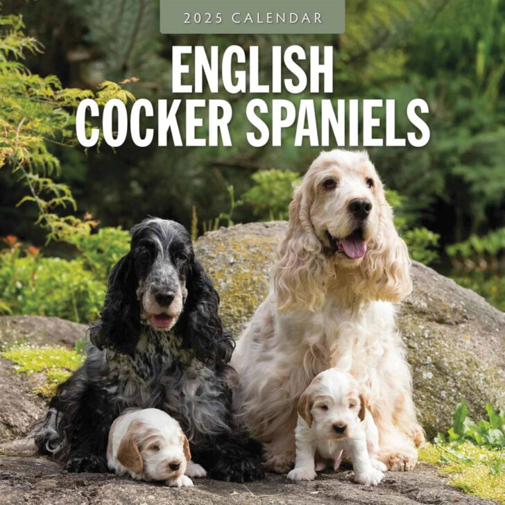 Just Cocker Spaniels 2025 Calendar Printable