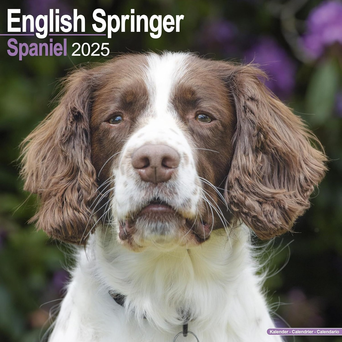 English Springer - 2025 Calendar - Brand New - 603420 | Ebay for Just English Springer Spaniels 2025 Calendar Printable