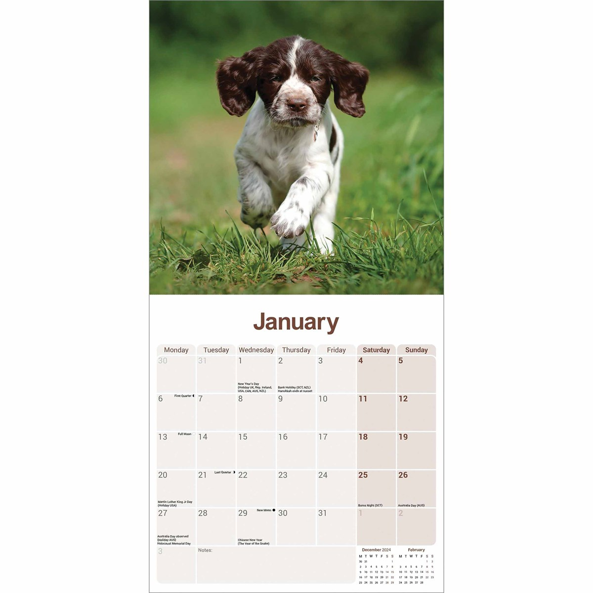 English Springer Spaniel Calendar 2025 inside Just English Springer Spaniels 2025 Calendar Printable