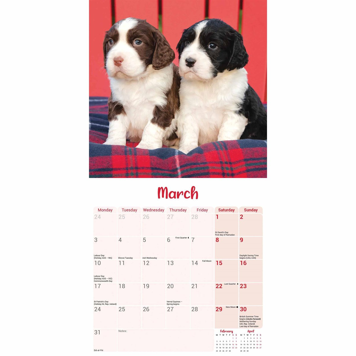 English Springer Spaniel Puppies Mini Calendar 2025 within Just English Springer Spaniels 2025 Calendar Printable