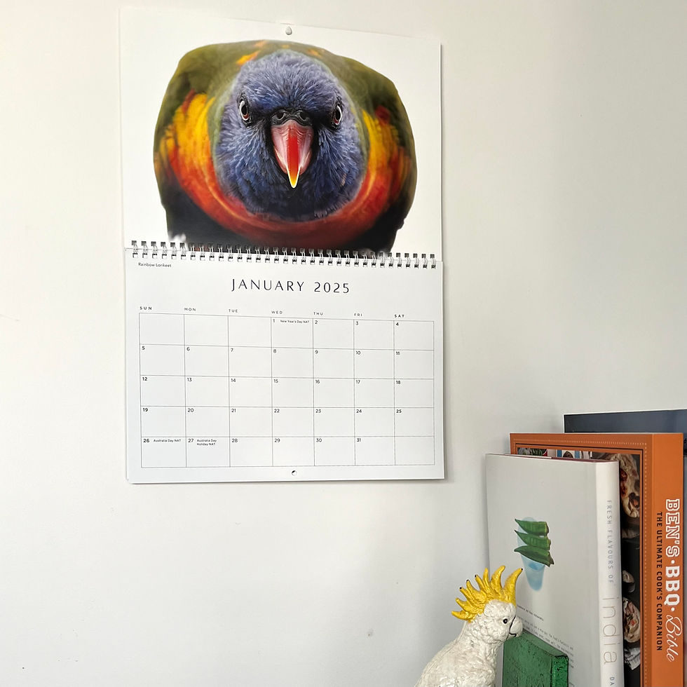 Feathered Friends - 2025 Calendar | Bird Photographer throughout Birds Feathered Friends 2025 Calendar Printable