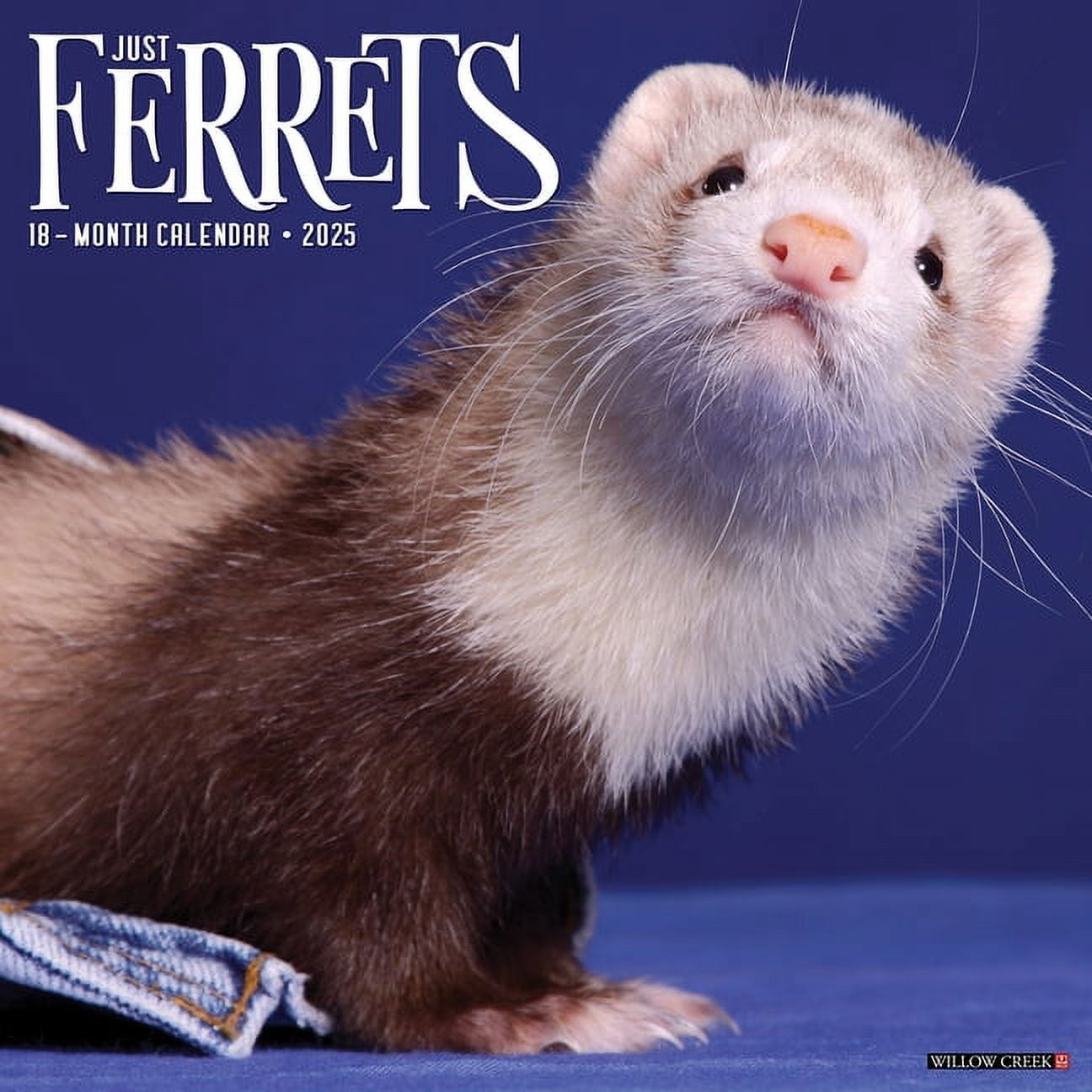 Ferrets 2025 Wall Calendar within Modern Ferret 2025 Calendar Printable