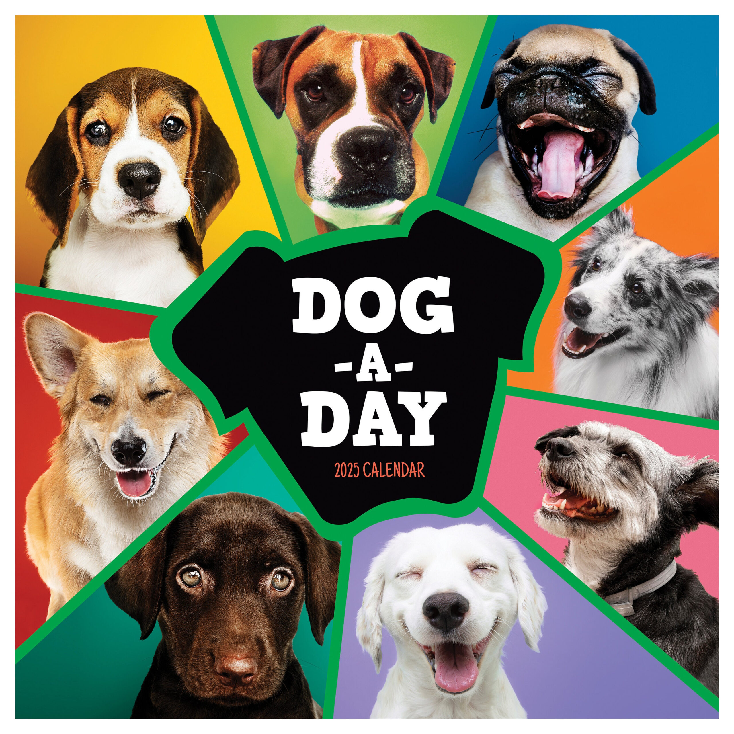 Final Sale 2025 Dog-A-Day Wall Calendar - Etsy within Dogs We Love Ross 2025 Calendar Printable
