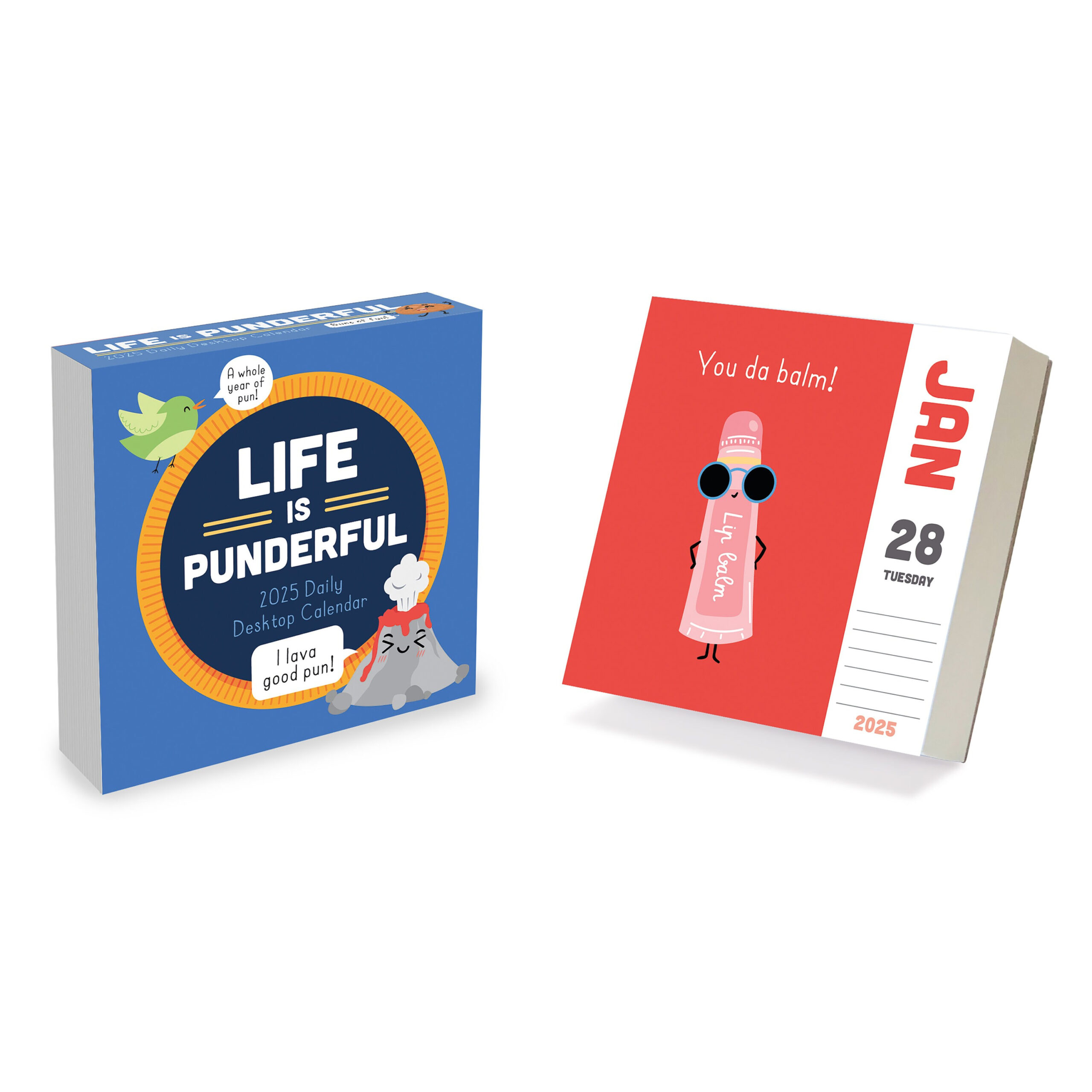 Final Sale 2025 Puns Of Fun Daily Desktop Calendar - Etsy for Pun Intended 2025 Calendar Printable