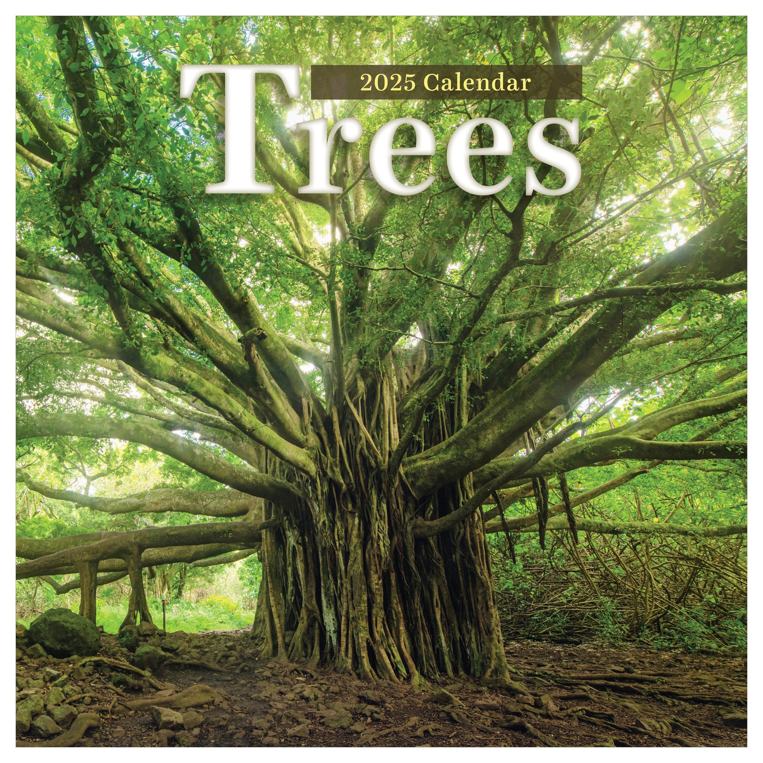 Final Sale 2025 Trees Wall Calendar - Etsy regarding Majesty of Trees 2025 Calendar Printable