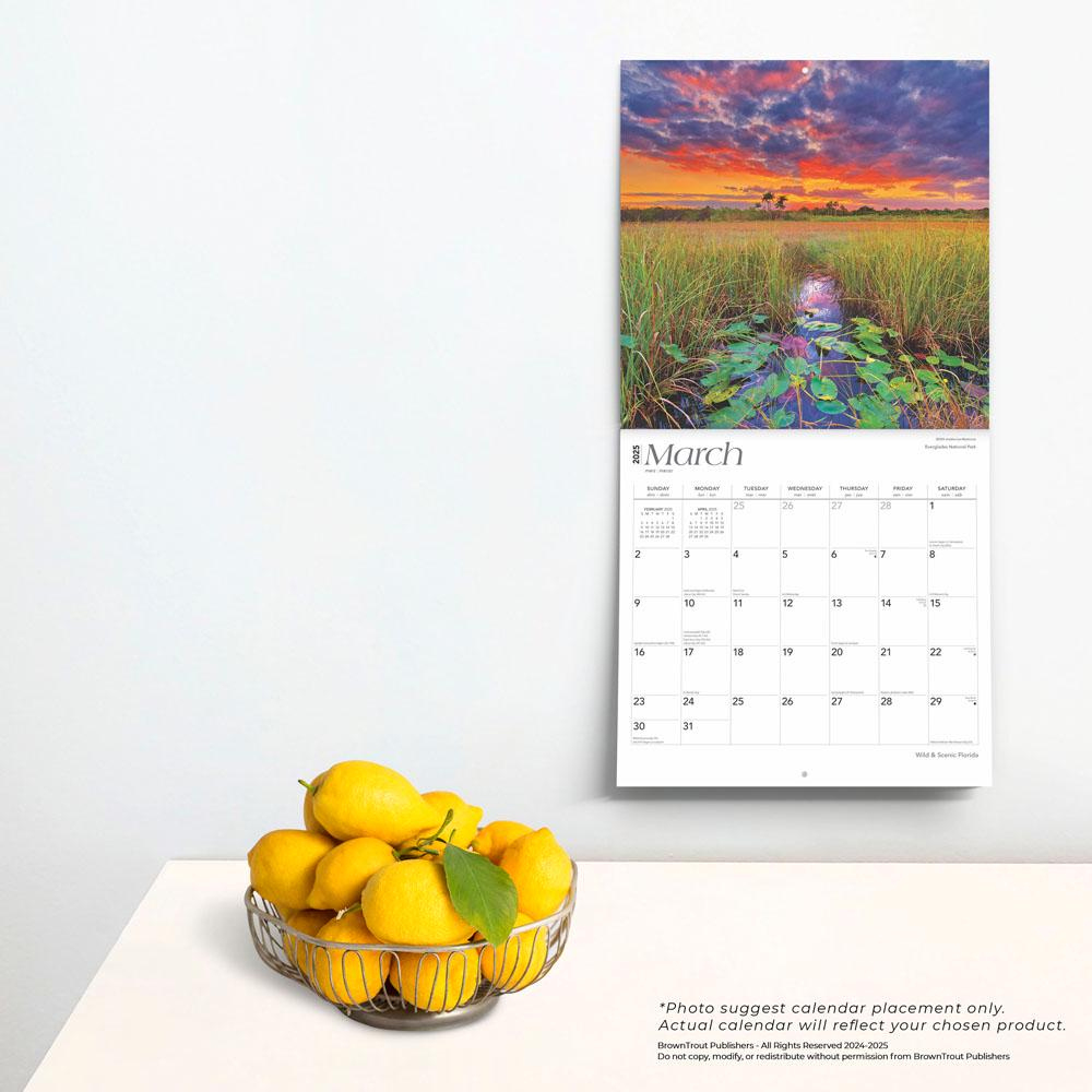 Florida Wild &amp;amp; Scenic 2025 12 X 24 Inch Monthly Square Wall regarding Florida Wild And Scenic 2025 Calendar Printable