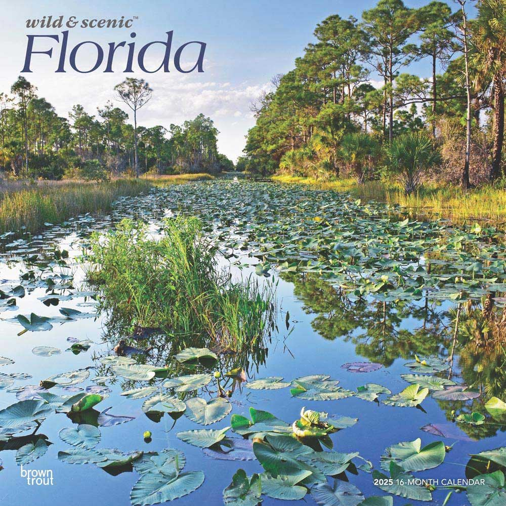 Florida Wild &amp;amp; Scenic 2025 12 X 24 Inch Monthly Square Wall with Florida Wild And Scenic 2025 Calendar Printable