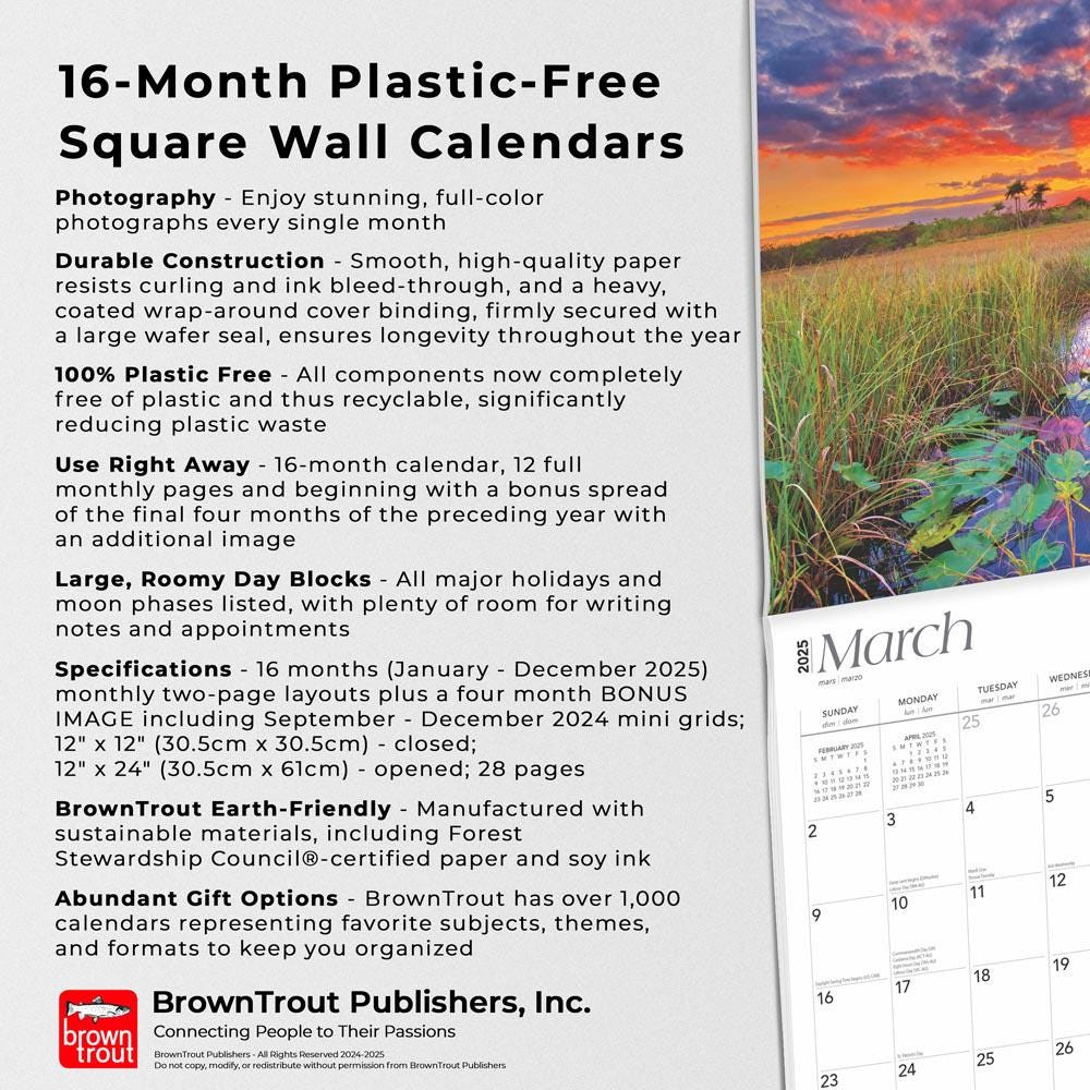 Florida Wild &amp;amp; Scenic 2025 12 X 24 Inch Monthly Square Wall within Florida Wild and Scenic 2025 Calendar Printable