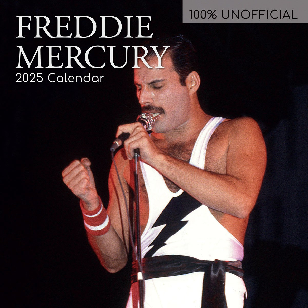 Freddie Mercury 2025 Retail Official Birthday in Freddie Mercury Poster 2025 Calendar Printable