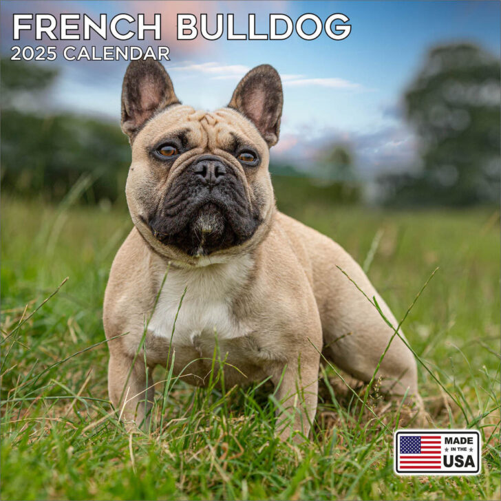 Just French Bulldogs 2025 Calendar Printable