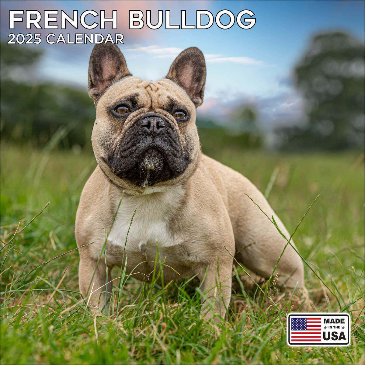 French Bulldog Calendar 2025 - Dog Breed Wall Calendar - Made In in Just French Bulldogs 2025 Calendar Printable
